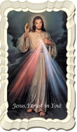 Divine Mercy Chaplet Linen Prayer Card