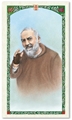 Saint Padre Pio Laminated Prayer Card