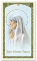 Saint Mother Teresa Laminated Prayer Card