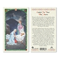 Comfort for Those Who Mourn Laminated Prayer Card