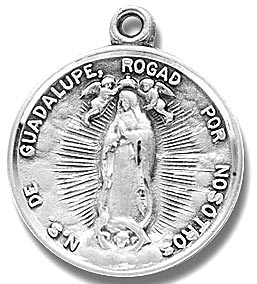 The Blessed Virgin Our Lady of Guadalupe