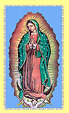 Our Lady of Guadalupe Holy Card Pack of 100