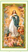 Our Lady Laminated Prayer Card
