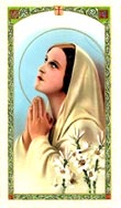 Our Lady of  Mental Peace Laminated Prayer Card