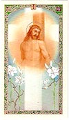 Passion of Christ Comfort Laminated Prayer Card