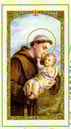 Saint Anthony Laminated Prayer Card