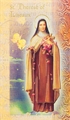 St Therese of Liseaux Prayer Card and Biography