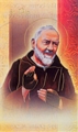 St. Pio Biography Card