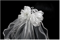 Ribbon and Bow White First Communion Veil