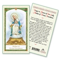 Our Lady of Divine Providence Laminated Prayer Card