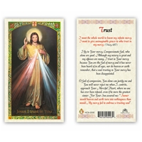 Divine Mercy Trust Laminated Prayer Card