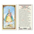 Virgin De Regla Laminated Prayer Card