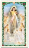 Prayer to the Divine Mercy with Angels Laminated Prayer Card