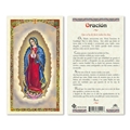 Guadalupe Oracion todos los Dias Laminated Prayer Card