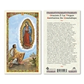 Oracion A La Virgen Santisma Laminated Prayer Card