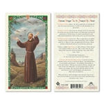Saint Francis Novena Laminated Prayer Card