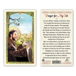 St. Francis Prayer for My Pet Laminated Prayer Card