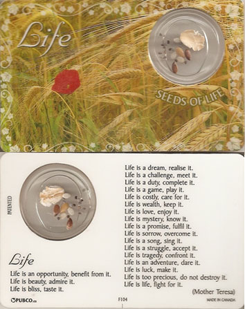 Life Laminated Prayer Card with Medal