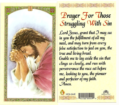 Prayer for Those Struggling with Sin Laminated Prayer Card