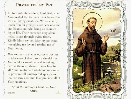 Prayer For My Pet Linen Prayer Card