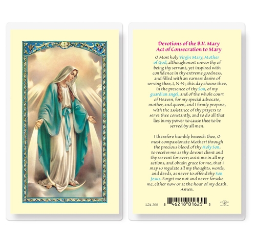 Devotions of the Blessed Virgin Mary Laminated Prayer Card