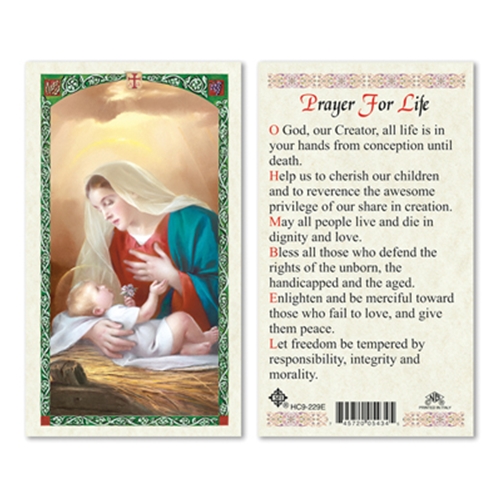 Madonna Prayer for Life Laminated Prayer Card