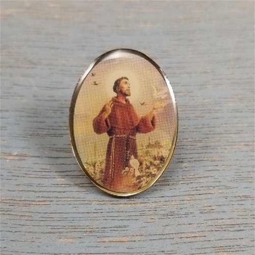 St. Francis Gold Rim Lapel Pin